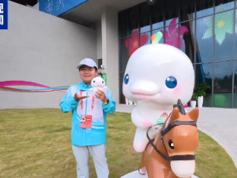 香港"小海豚"解锁湾区融合新姿势